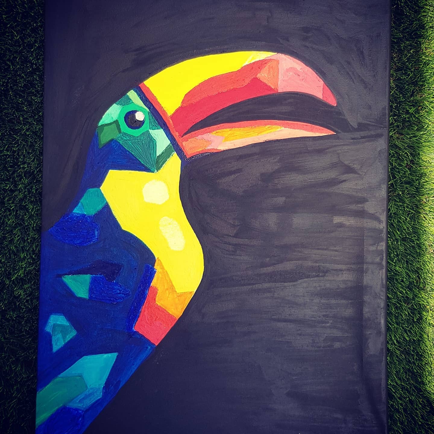 The Motley Psychedelic Toucan