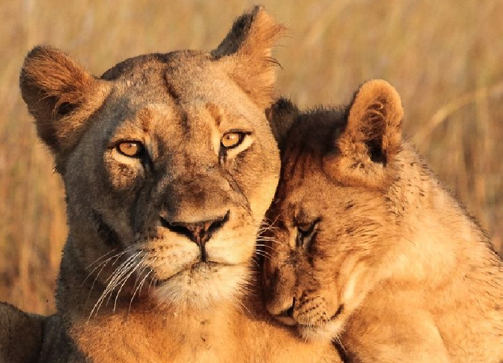Happy birthday, Mommy!